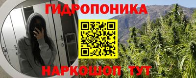 спиды Будённовск